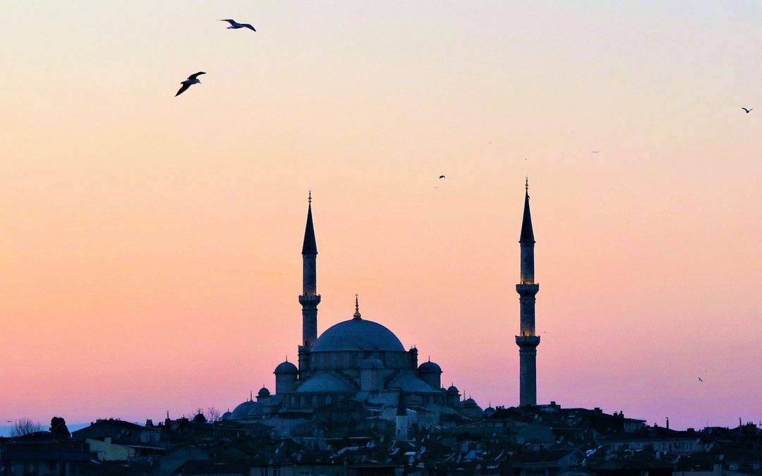 Istanbul, a city under tight surveillance